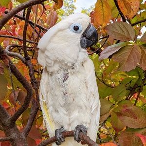 Meet your Posher, Alexandra